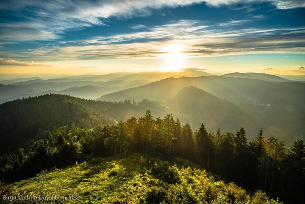 Schwarzwald-Traum Mit Pool Und Sauna Unterkirnach 外观 照片
