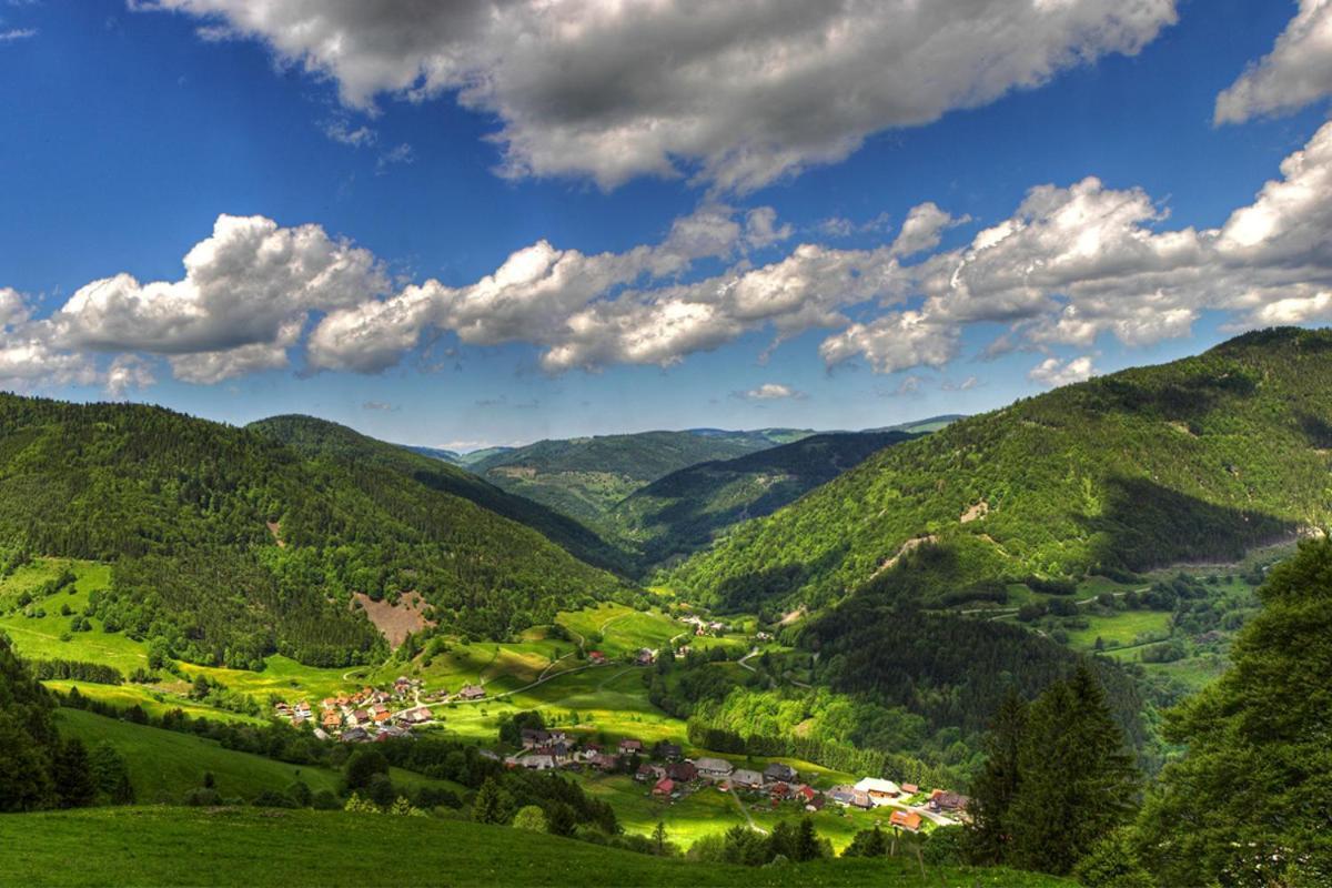 Schwarzwald-Traum Mit Pool Und Sauna Unterkirnach 外观 照片