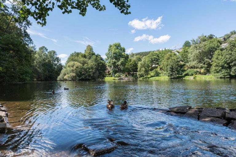 Schwarzwald-Traum Mit Pool Und Sauna Unterkirnach 外观 照片